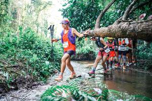 BIB: 
                            <button type="button" onclick="openModal(25467640)" class="btn btn-primary btn-sm float-right btn-popup" data-toggle="modal" data-target=".modal-high-quality">
                        <i class="fas fa-shopping-cart"></i> Add to Cart
                    </button>
                                            <button type="button" onclick="isThisMe(25467640, true)" class="btn btn-success btn-sm float-right btn-popup btn-isme hidden" data-toggle="tooltip" data-placement="bottom" title="นี่คือรูปของคุณใช่ไหม คลิกที่นี่เพื่อเอาเข้าอัลบั้ม">
                        <i class="fas fa-plus"></i> Add to album
                    </button>
                    <button type="button" onclick="isThisMe(25467640, false)" class="btn btn-warning btn-sm float-right btn-popup btn-isnotme hidden">
                        <i class="fas fa-ban"></i> Remove from album
                    </button>